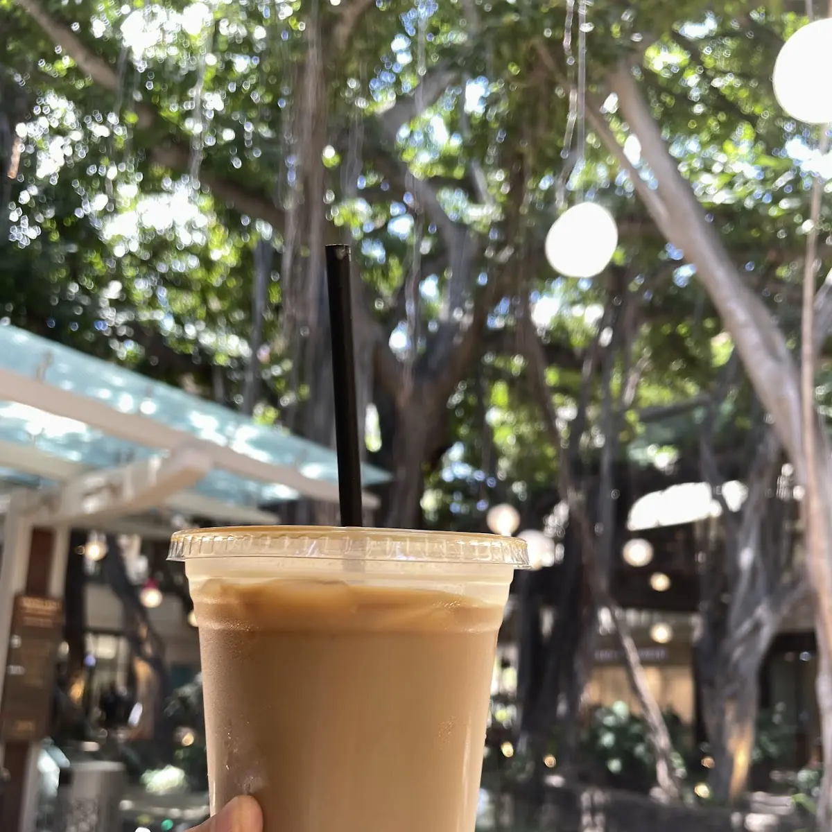 Iced Vanilla Latte