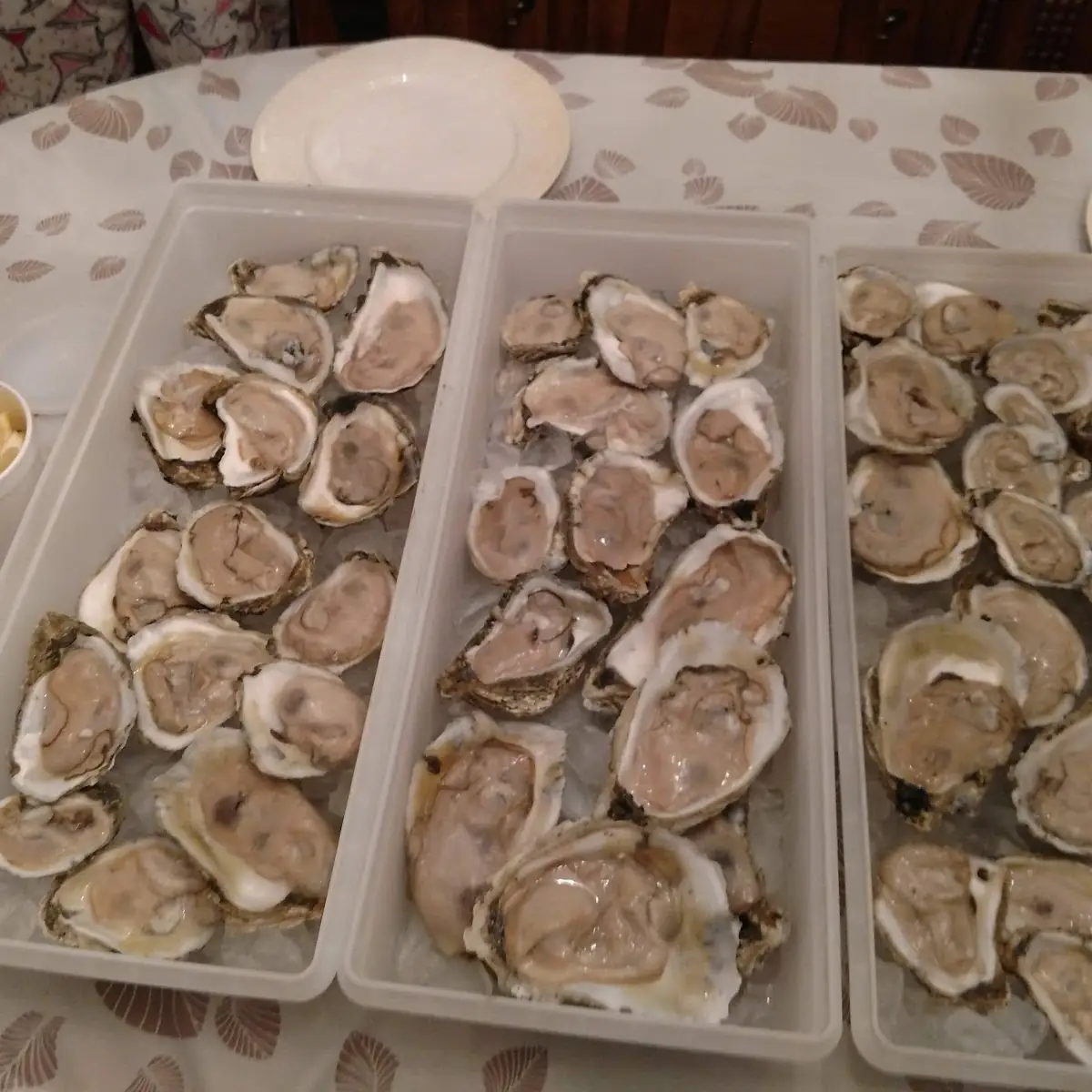 Raw Oysters