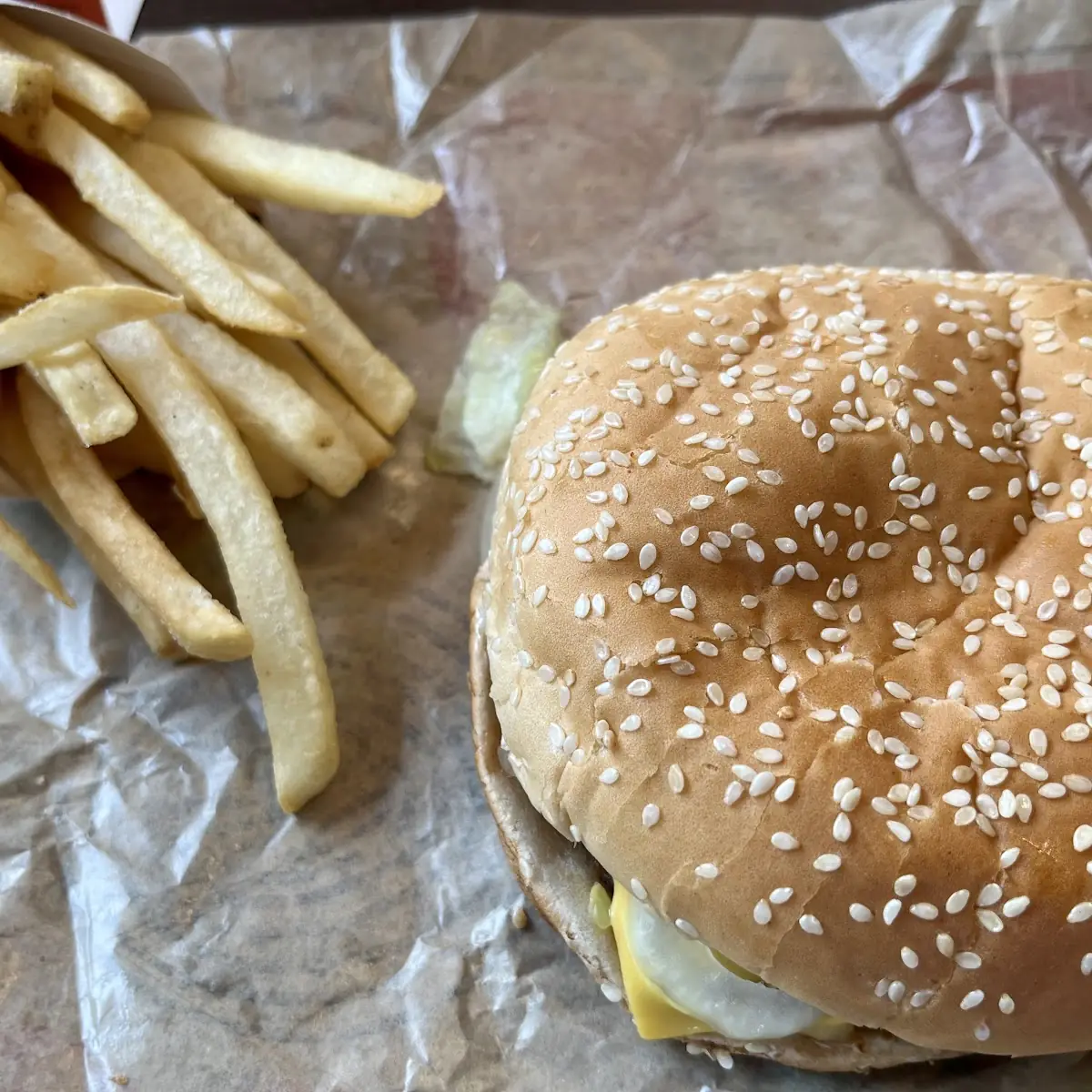 Cheese Burger and Fries