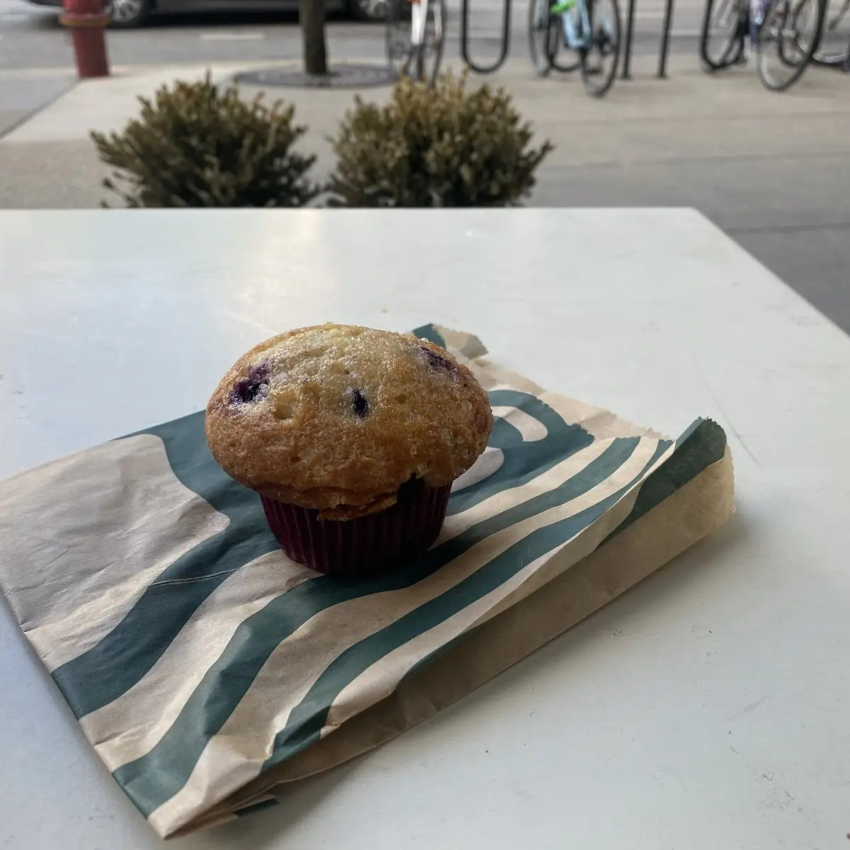 Blueberry Muffin