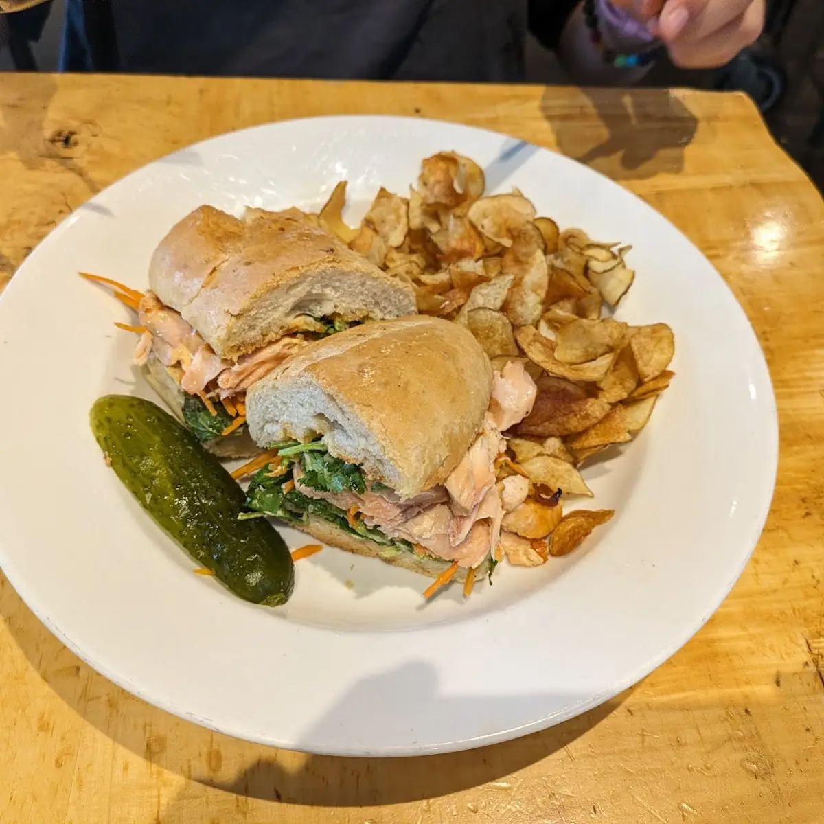 Salmon Bahn MI