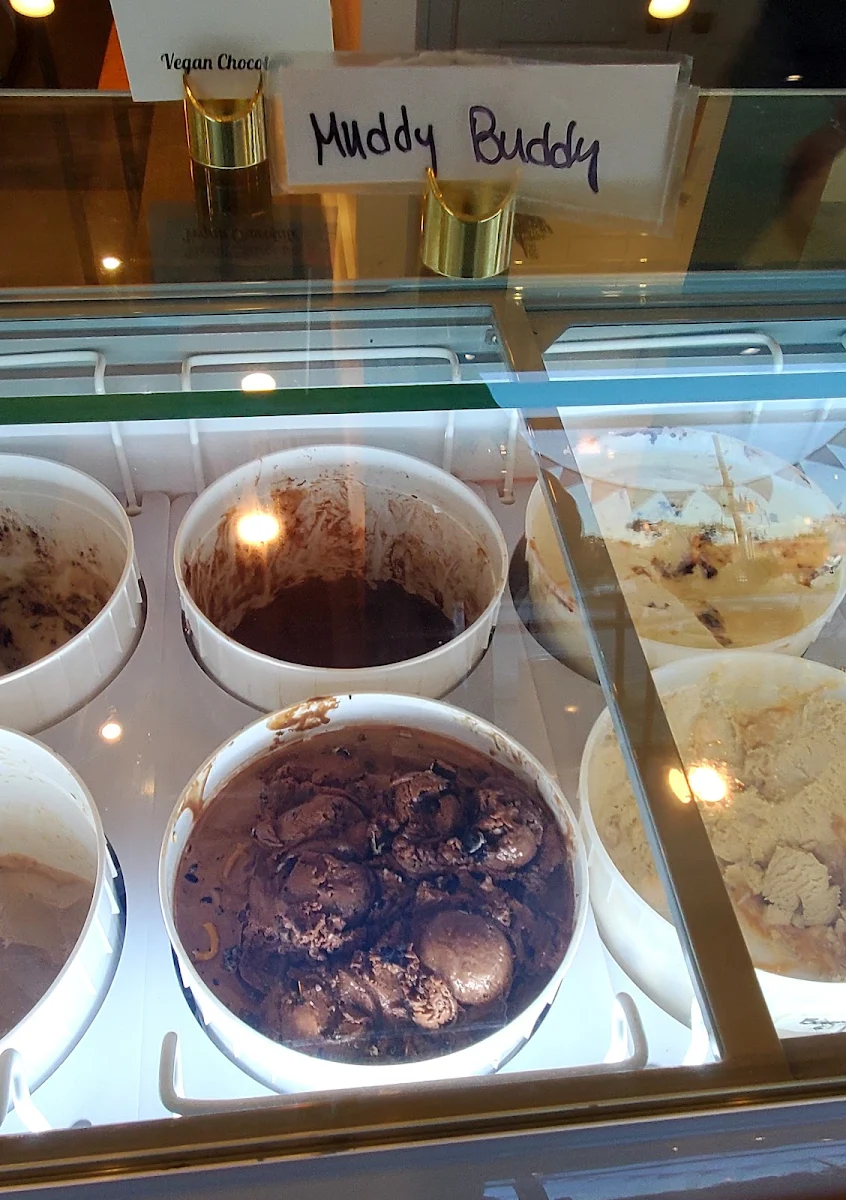 Chocolate Ice Cream