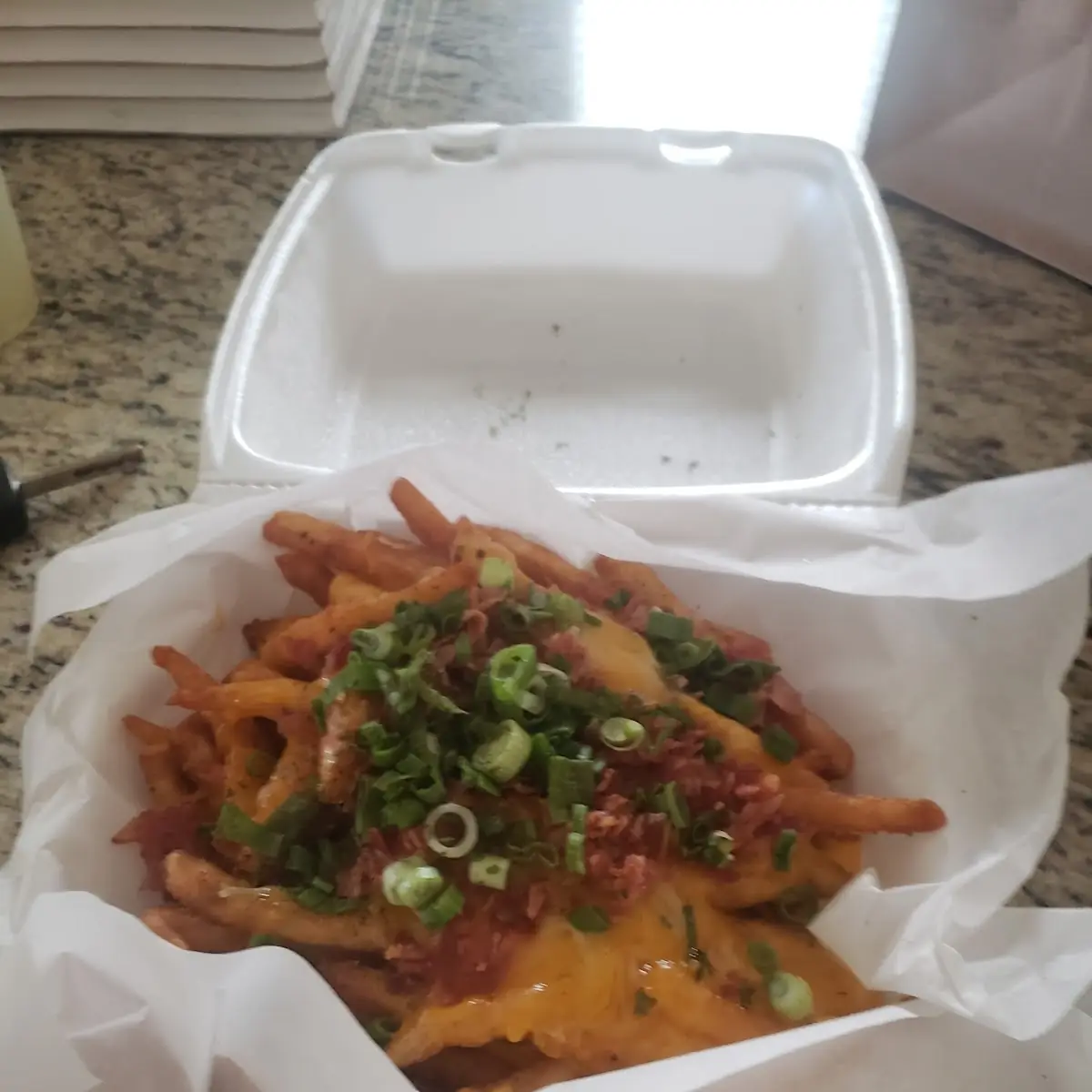 Loaded Fries