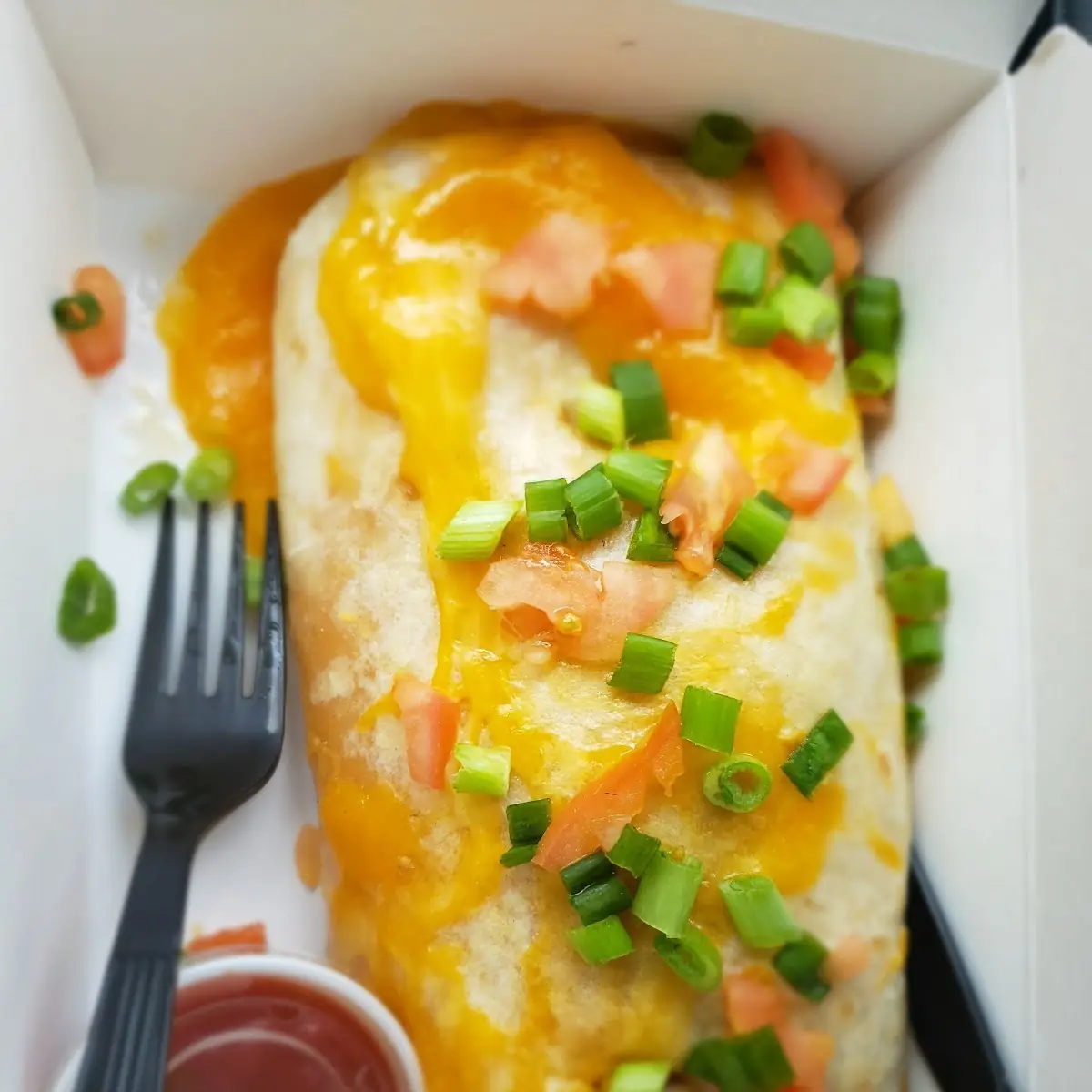 Breakfast Burrito