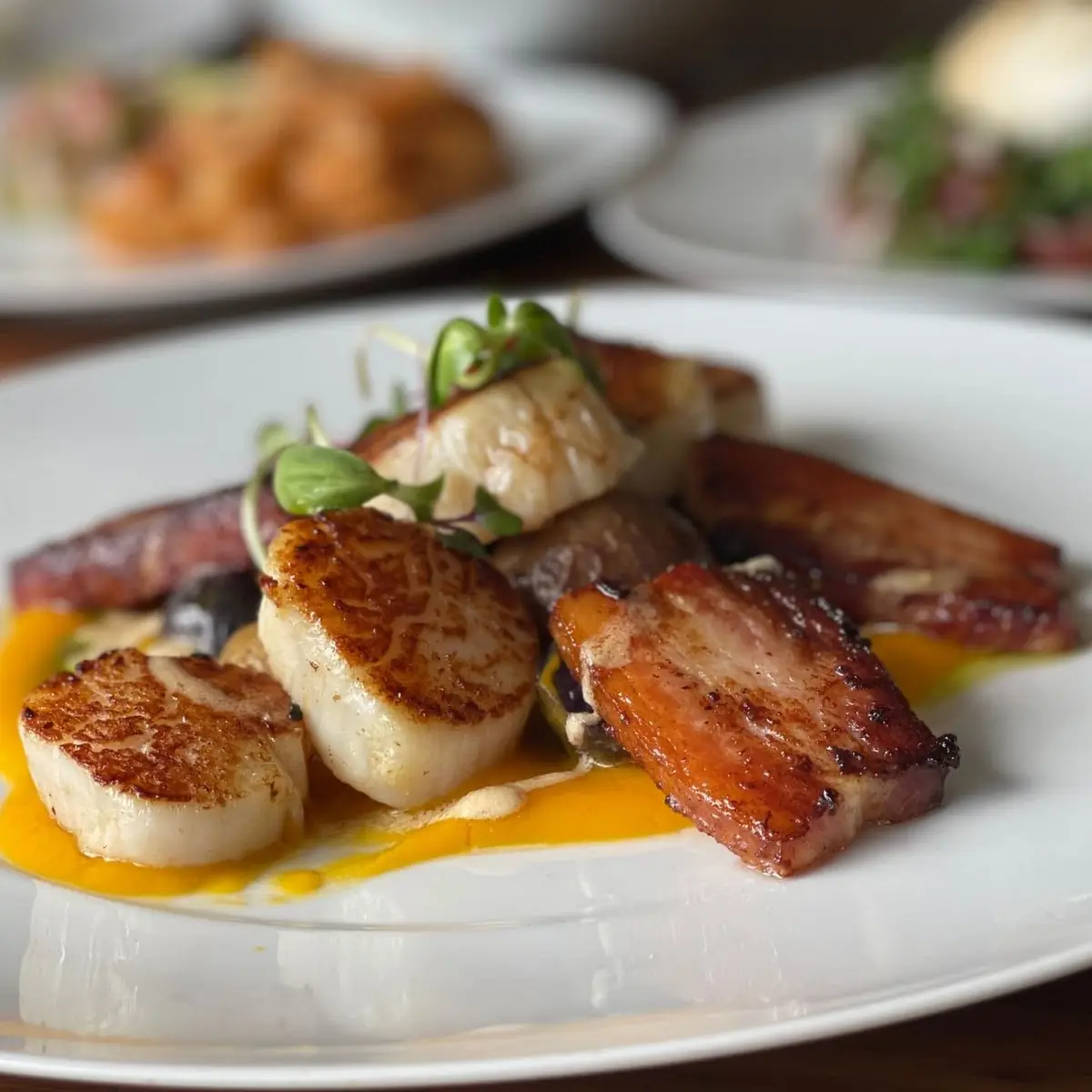 Seared Scallops & Pork Belly