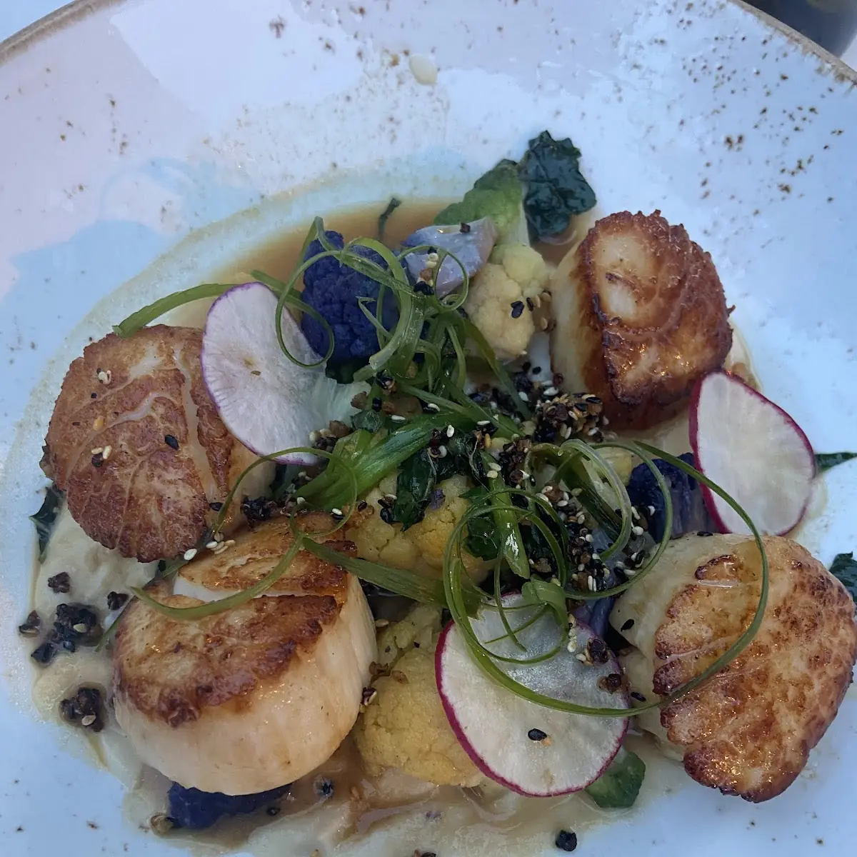 Seared Sea Scallops & Fresh Gulf Shrimp