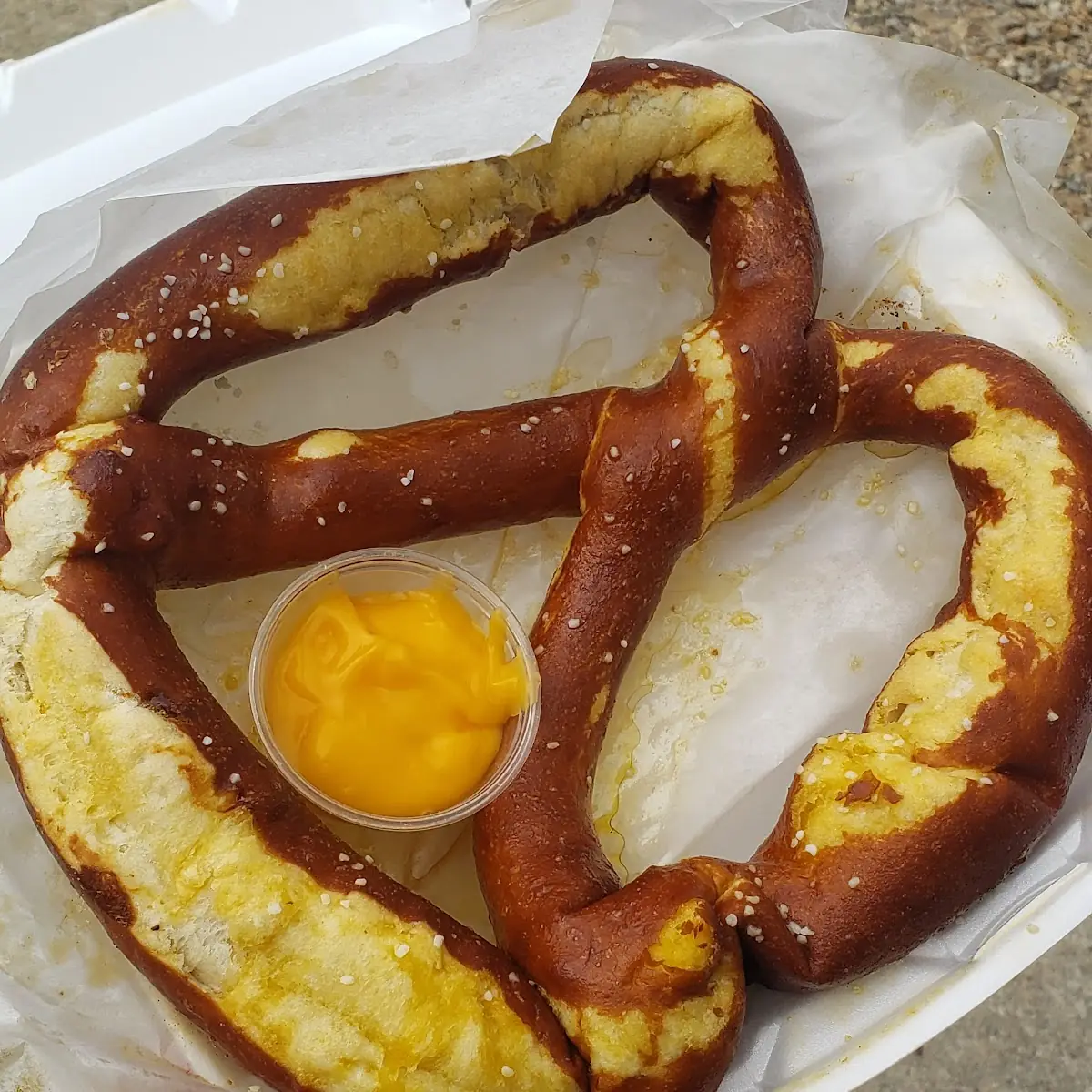 Gigantic Bavarian Pretzel