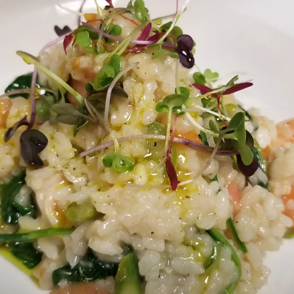 Risotto