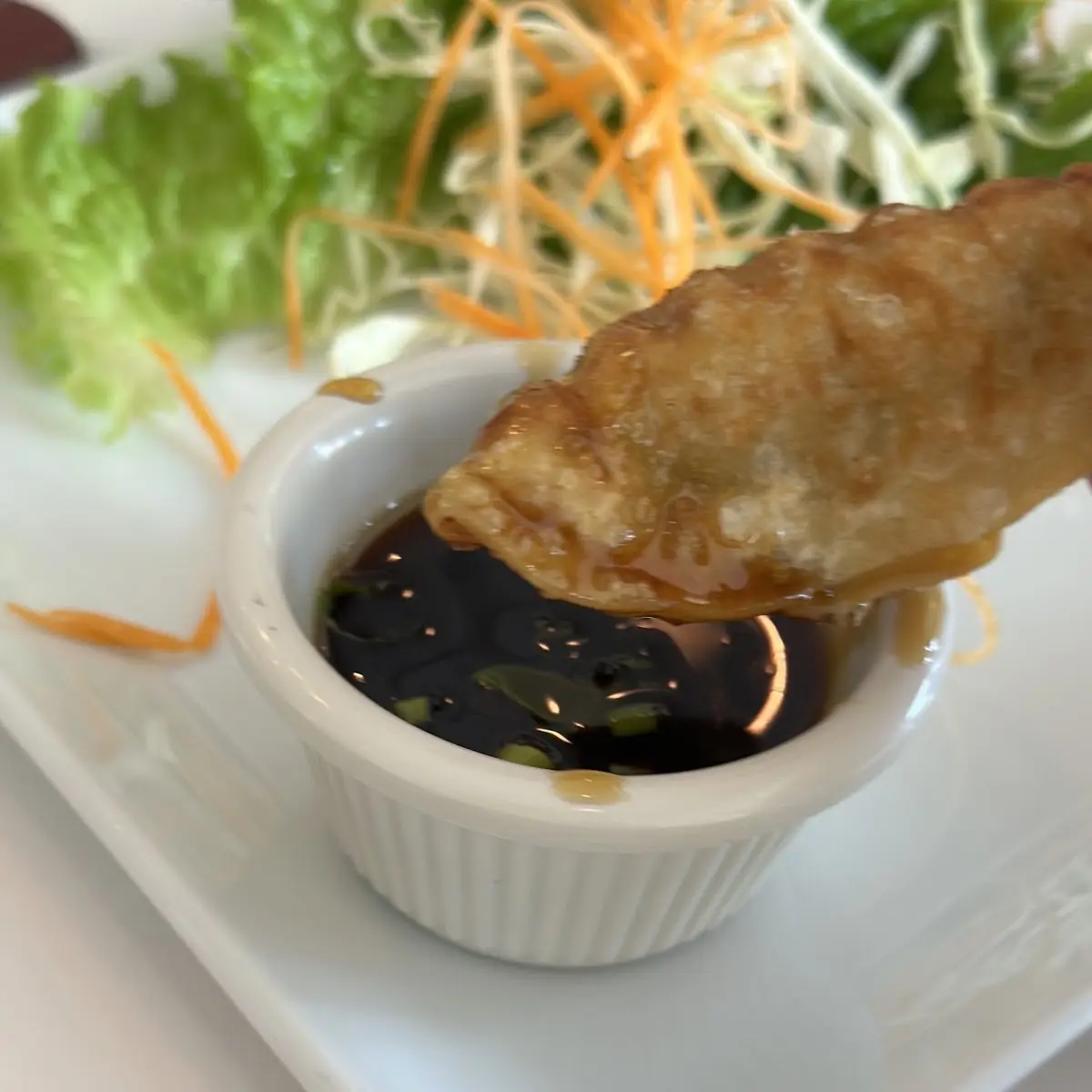 Pot Stickers 6