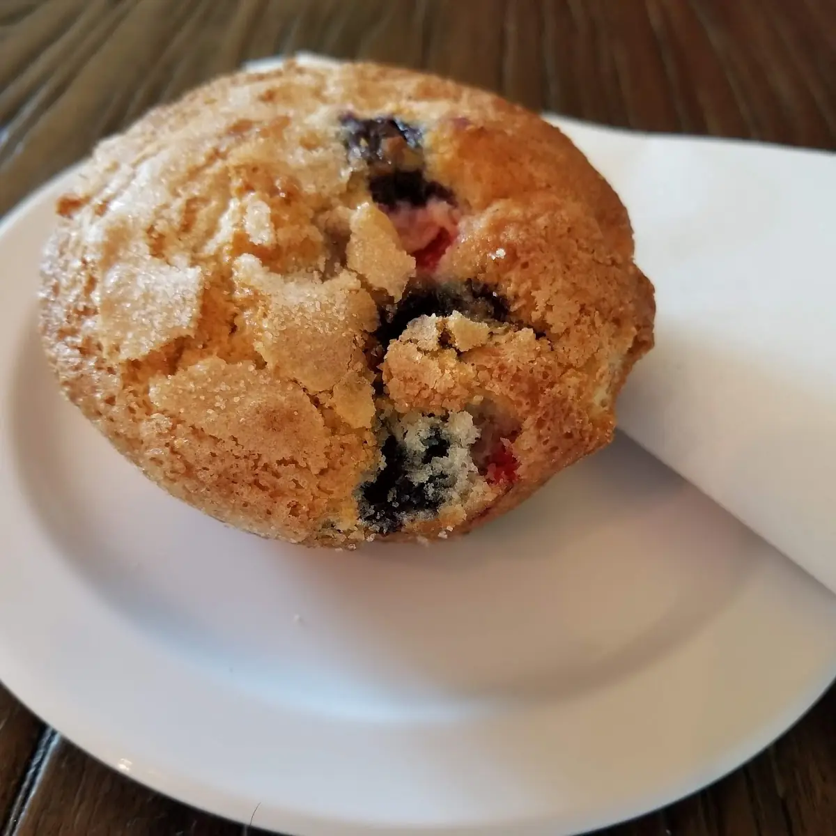 Blueberry Muffin