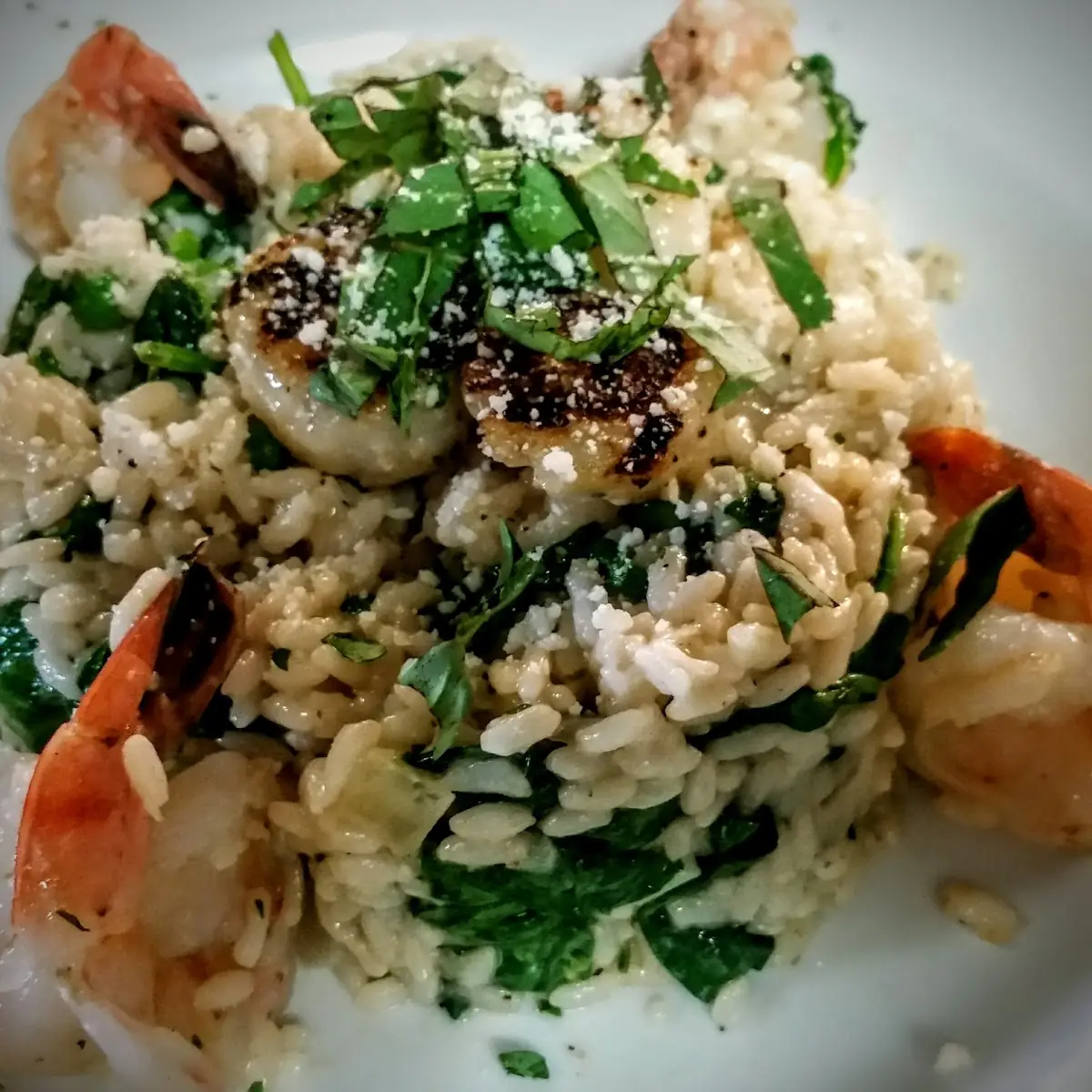Sea Bass Risotto