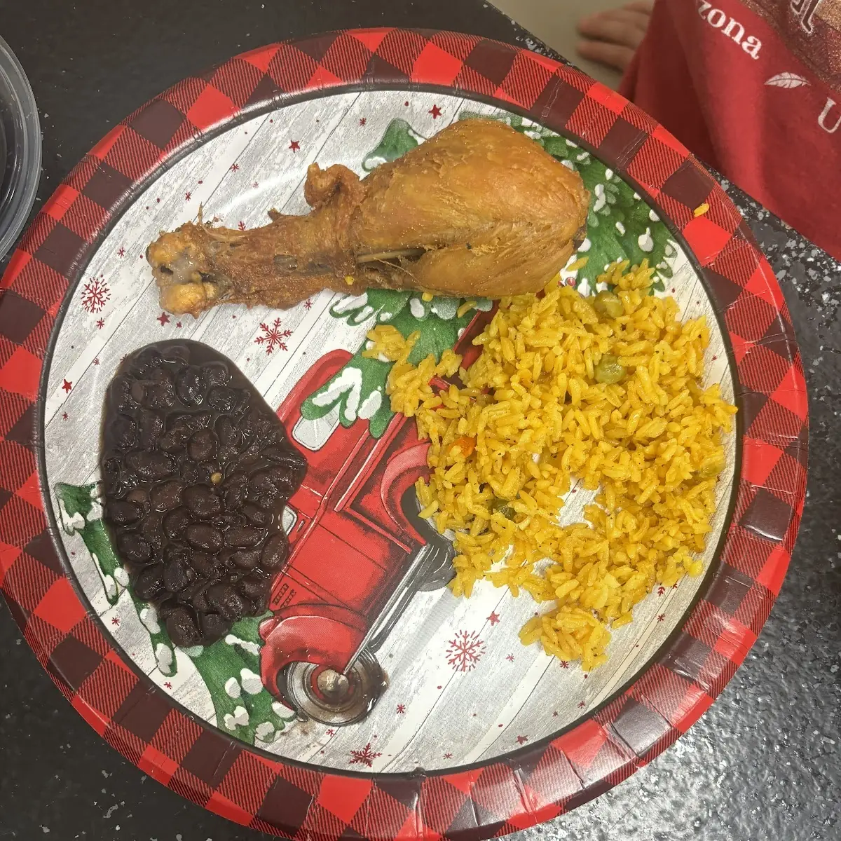 Fried Chicken Leg with Rice