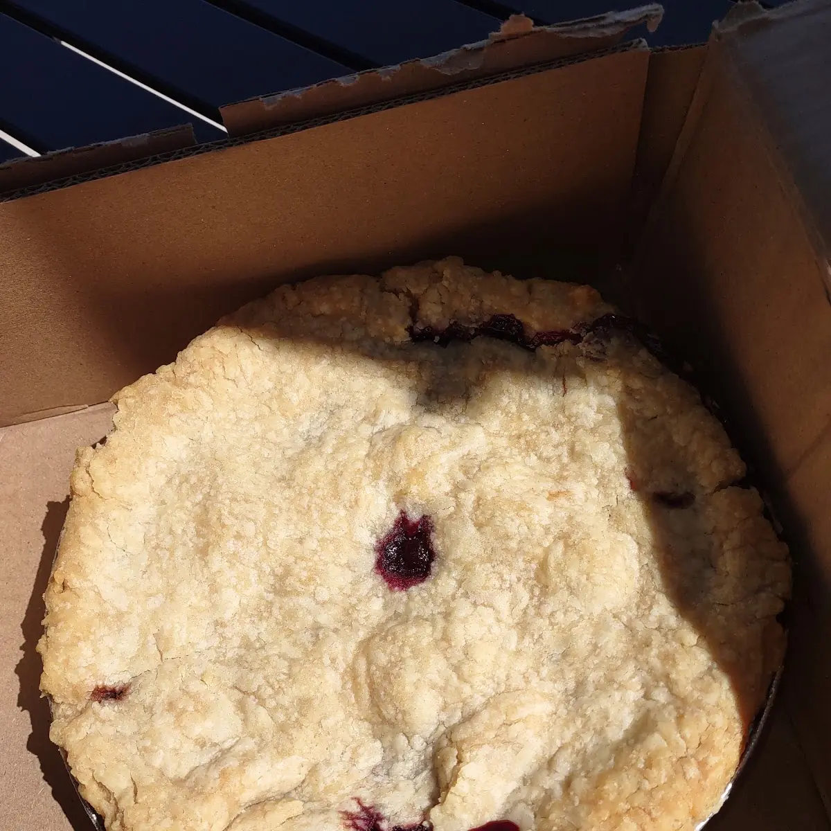 Chocolate Chip Cookie