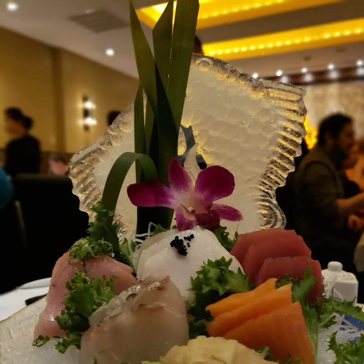Sashimi Regular