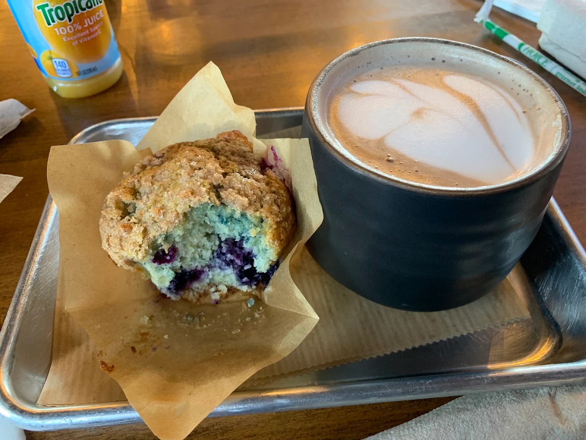 Blueberry Muffin
