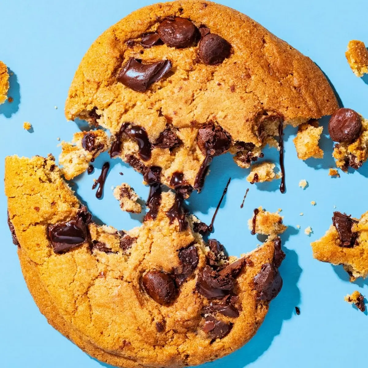 Chocolate Chip