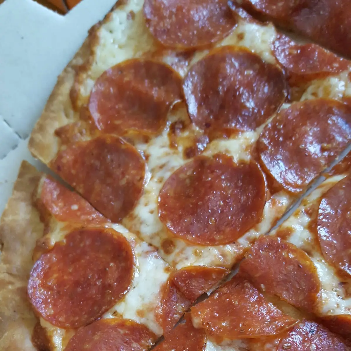 Thin Crust Pizza