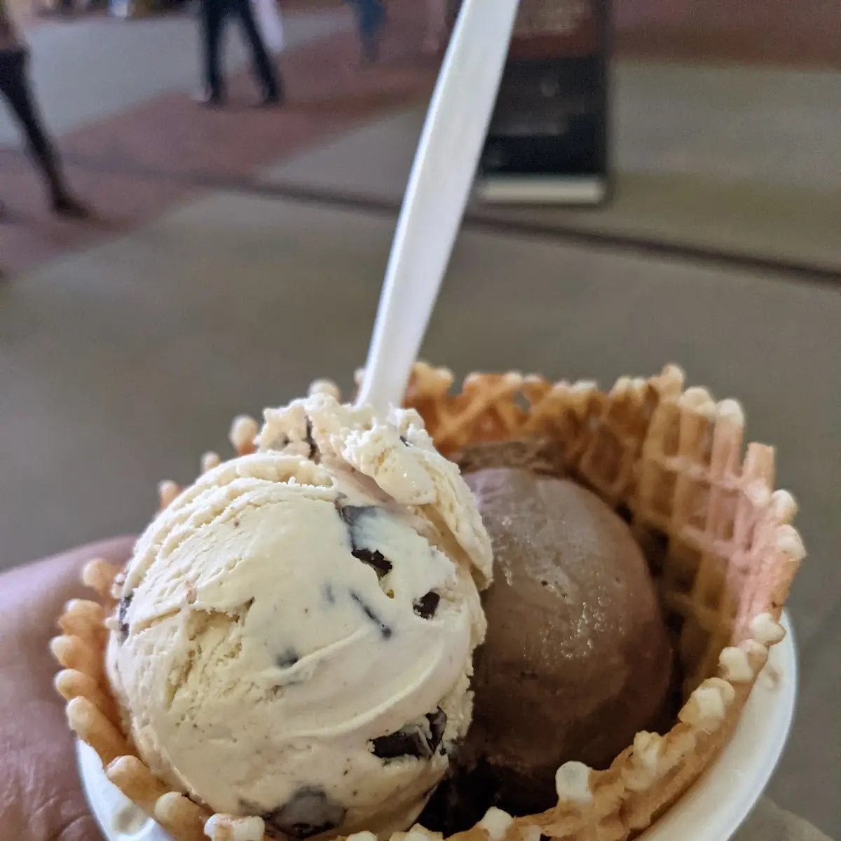 Waffle Cone or Bowl