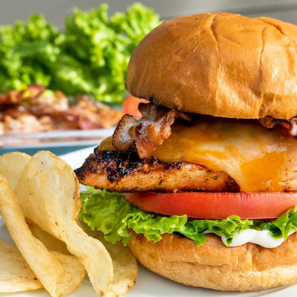 Grilled Chicken Sandwich