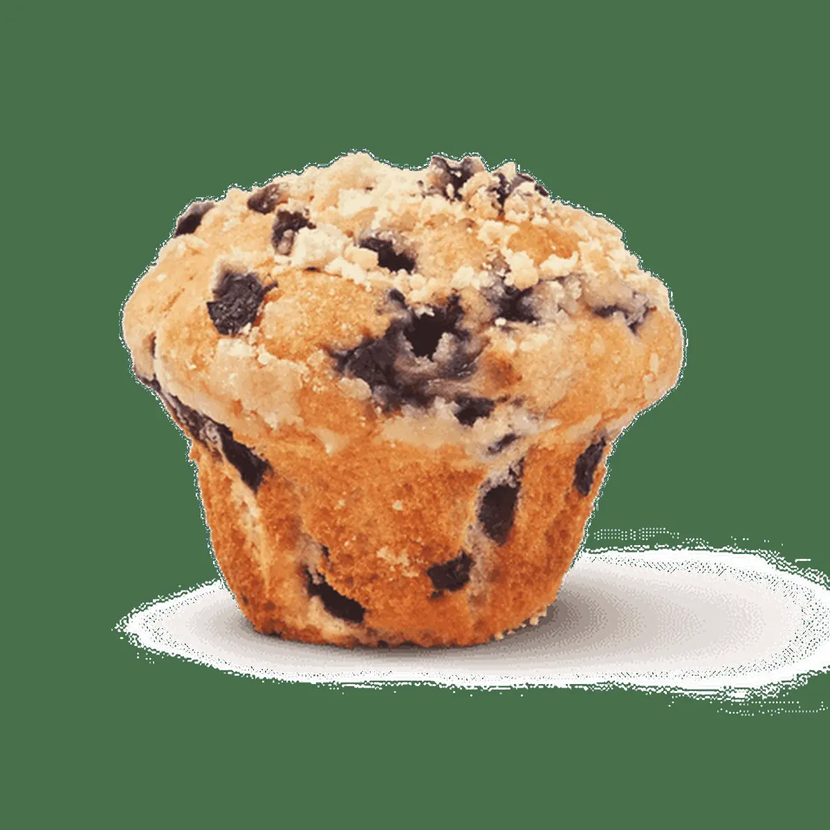 Wild Blueberry Muffins