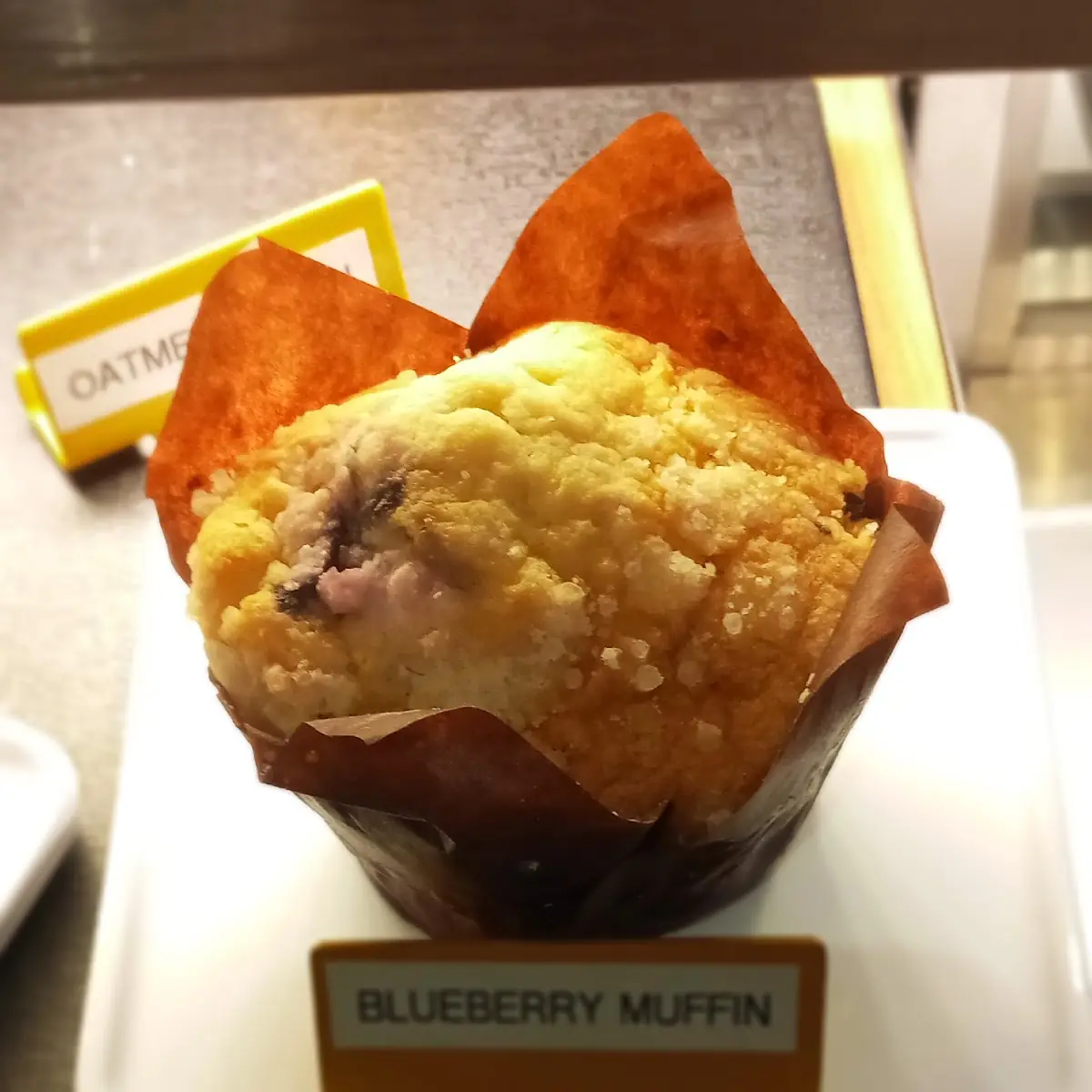 Blueberry Muffin