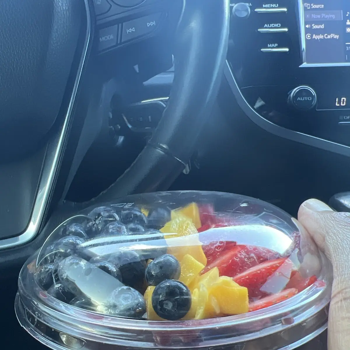 Fresh Fruit