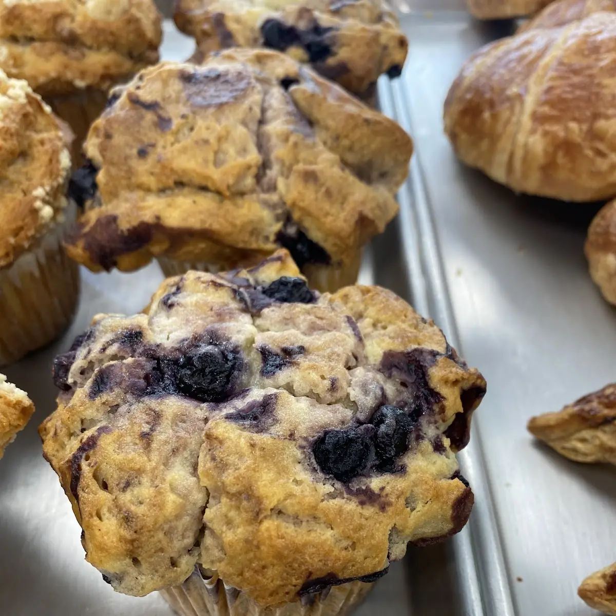 Blueberry Muffin