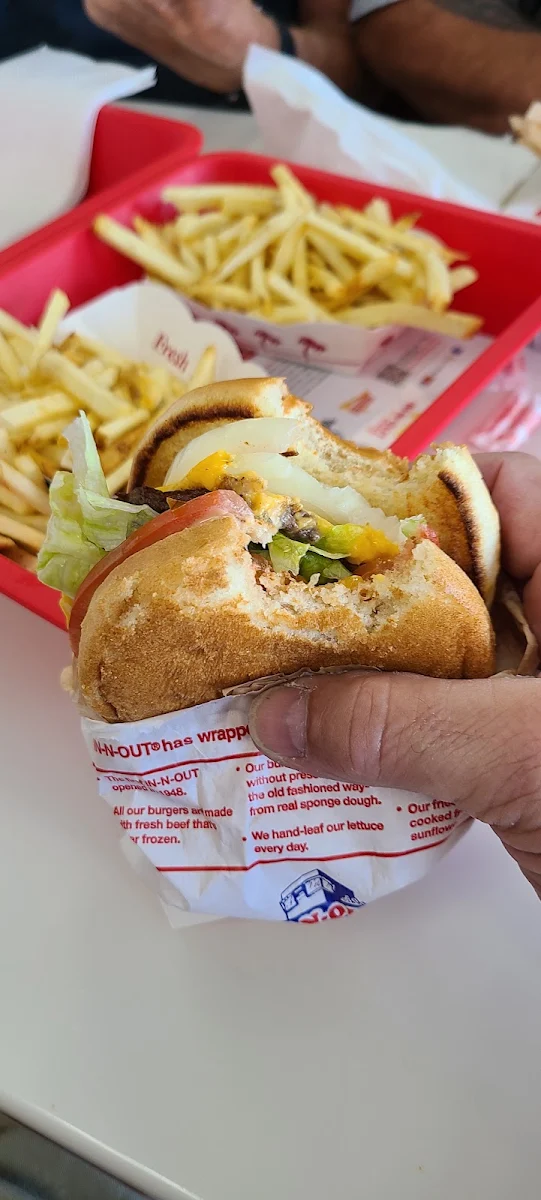 Double Double Cheeseburger Fries