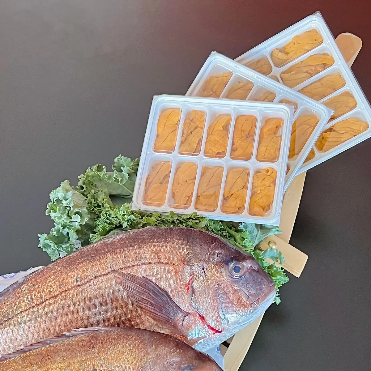 Red Snapper