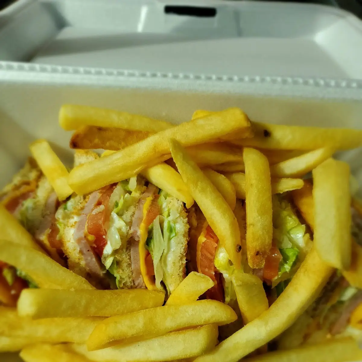 Club Sandwich & Fries
