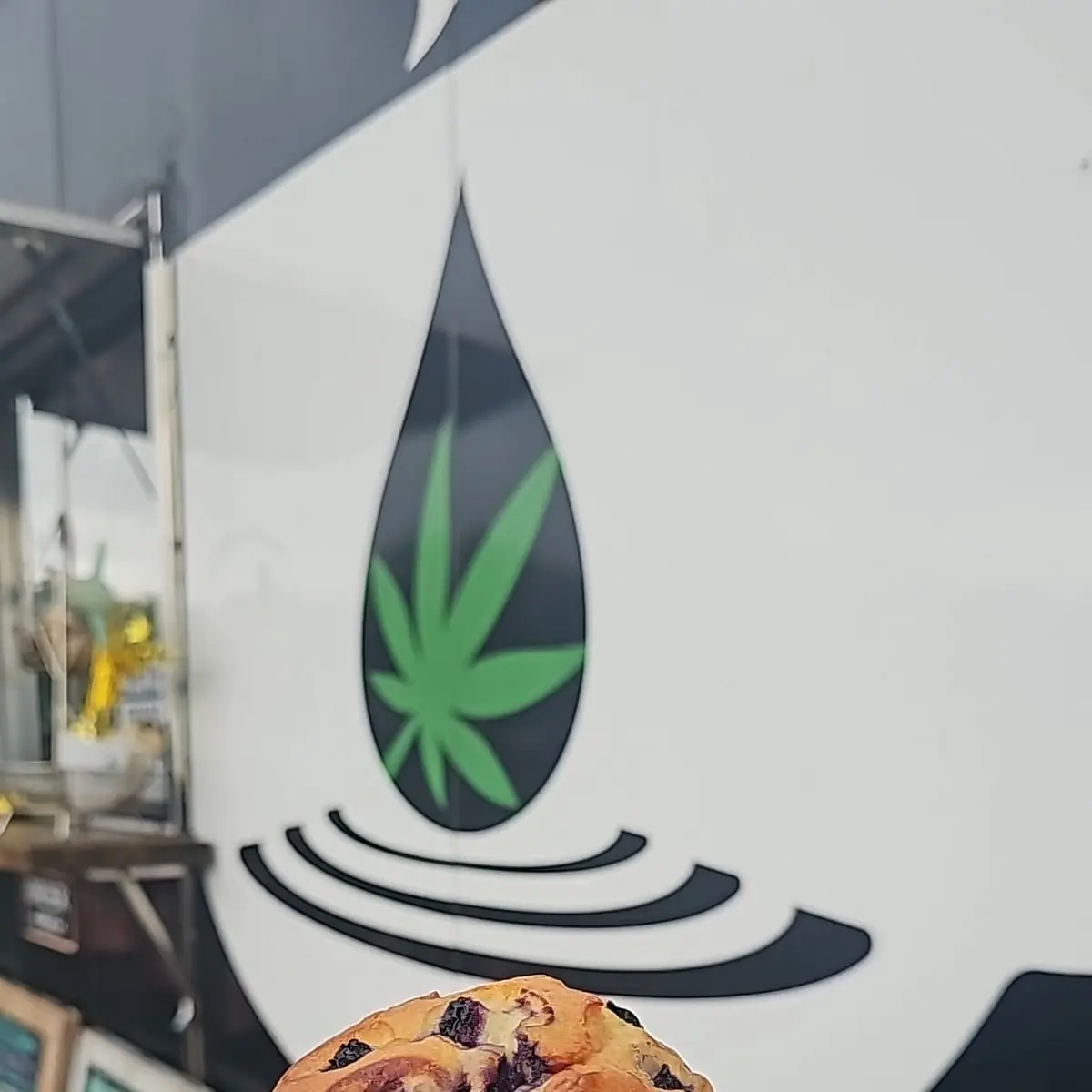 Blueberry Muffin