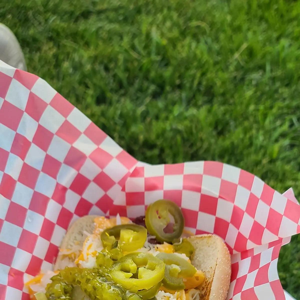 Hot Dog