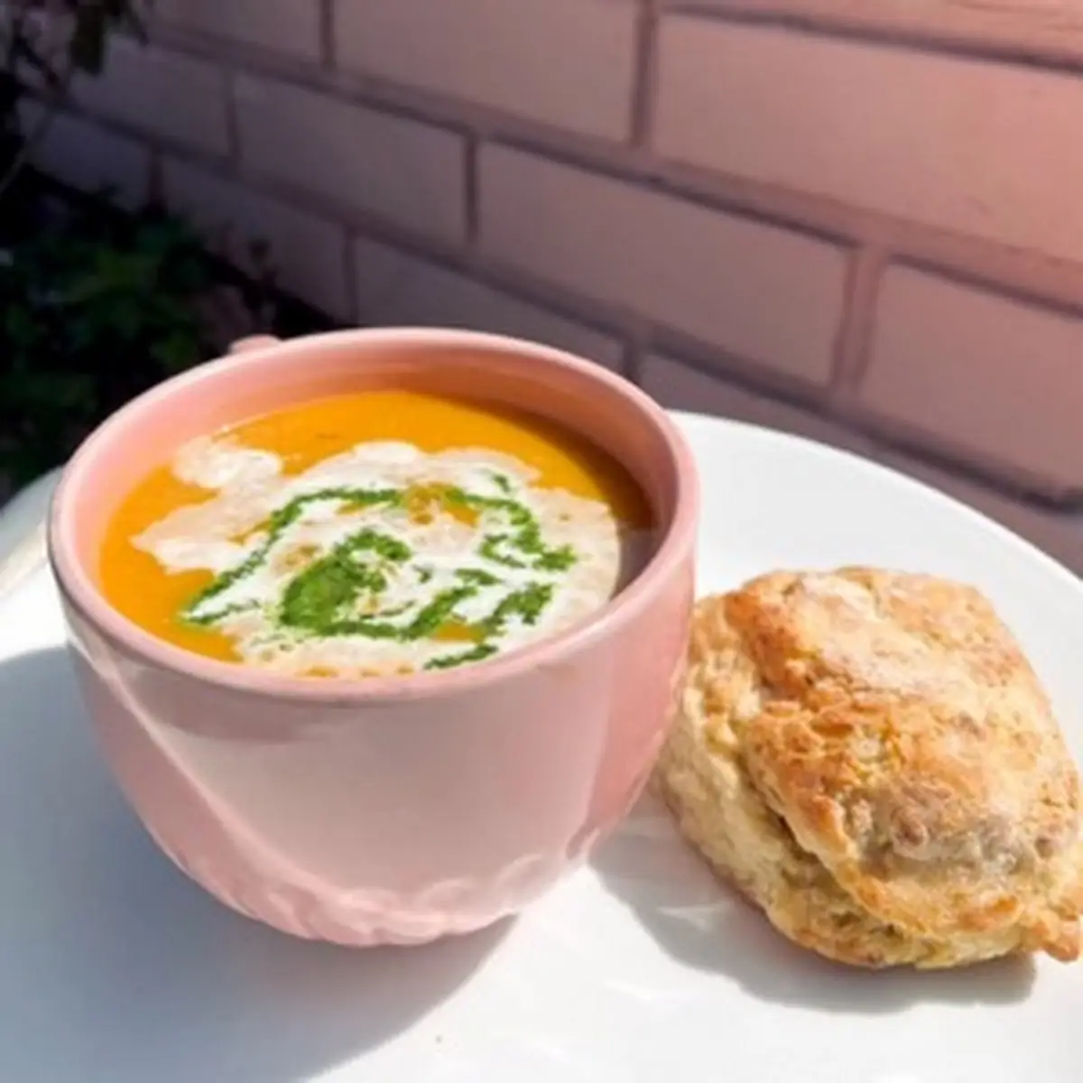 Soup of the Day