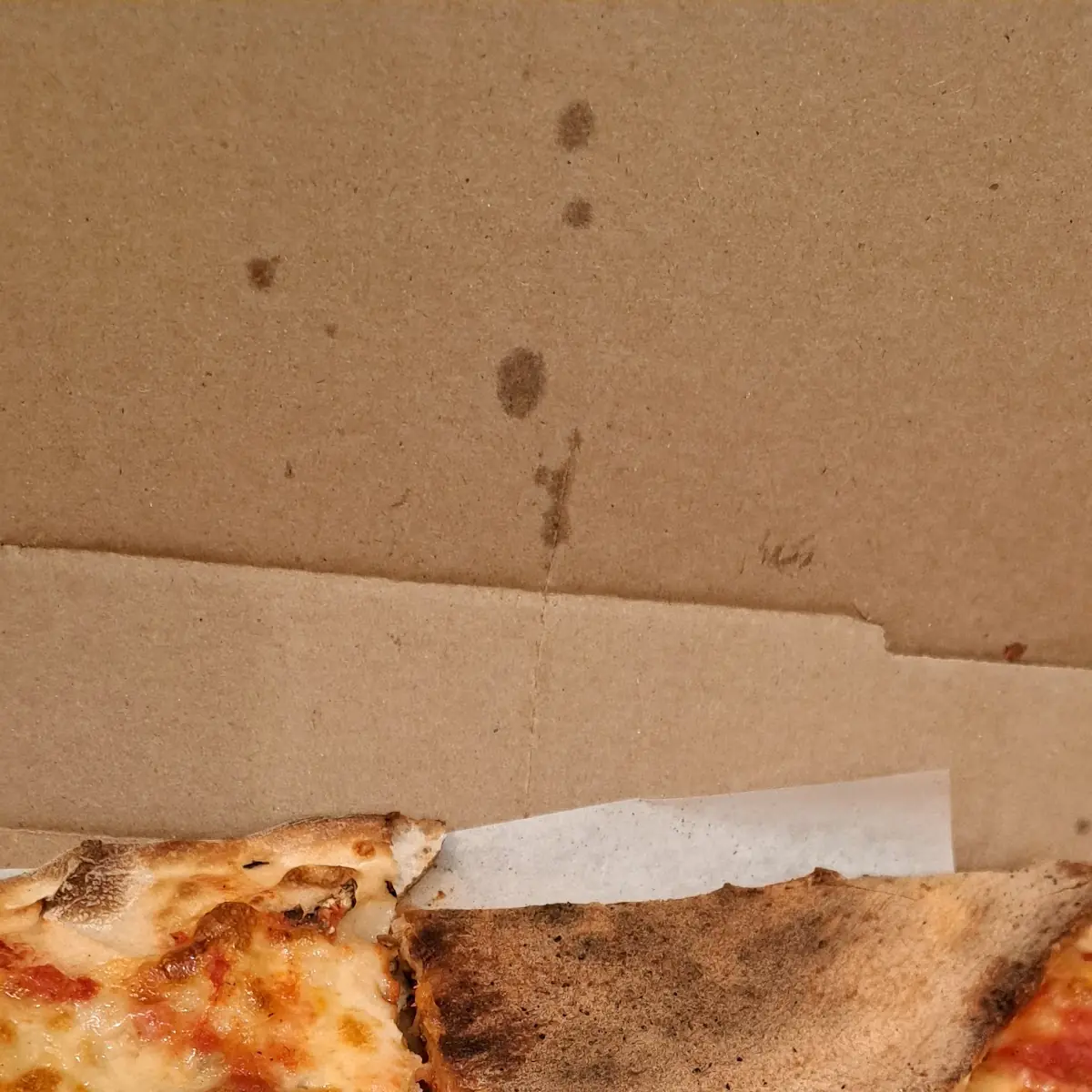 Mushrooms Pizza
