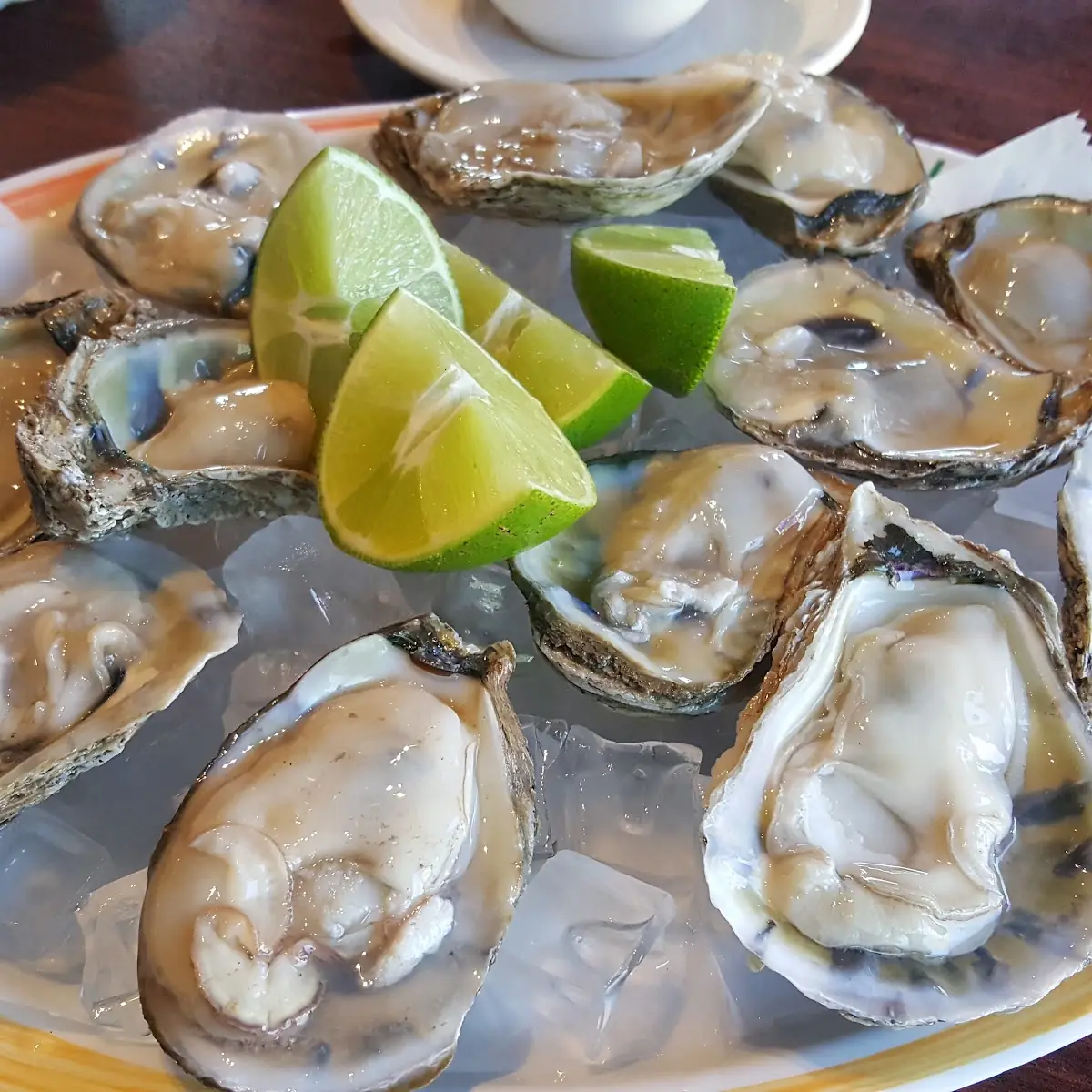Oysters on the Half Shell