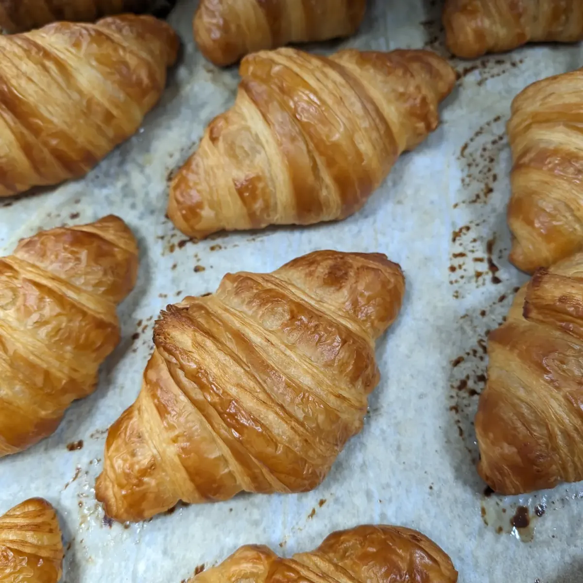 Freshly Baked Croissant