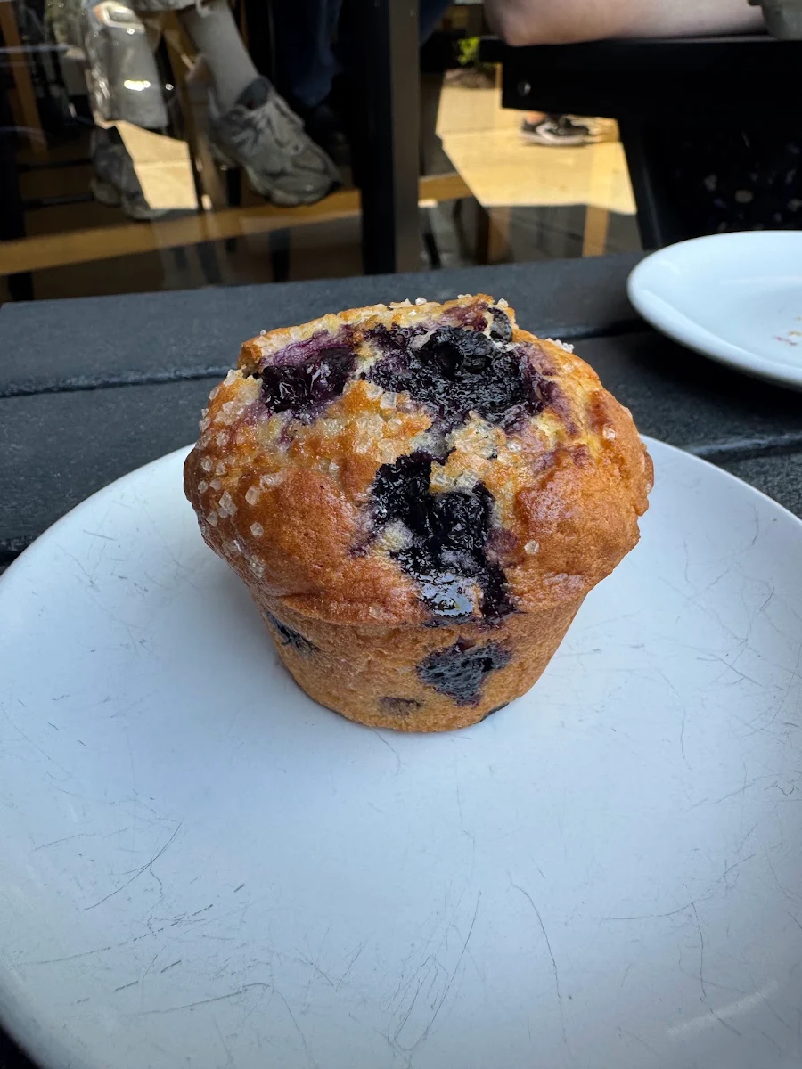 Blueberry Muffin