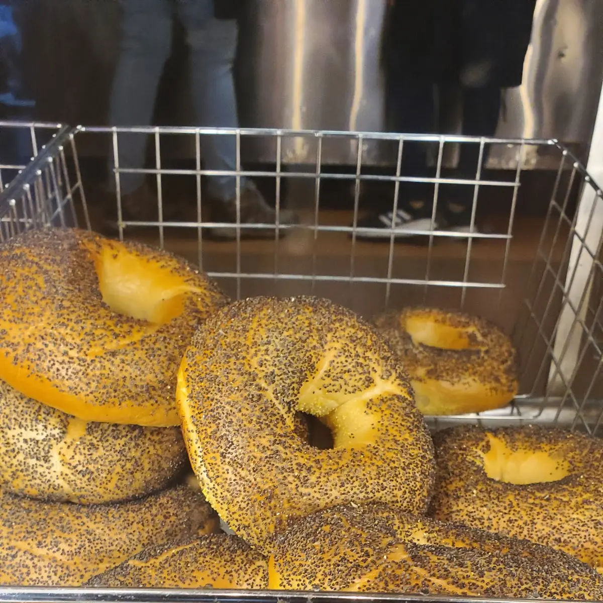 Poppy Seed Bagel