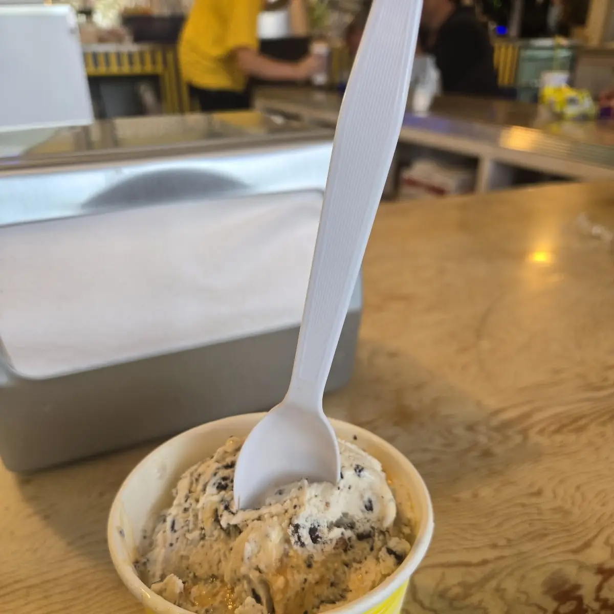Chocolate Chip