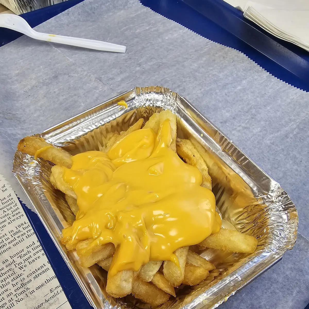 Cheese Fries