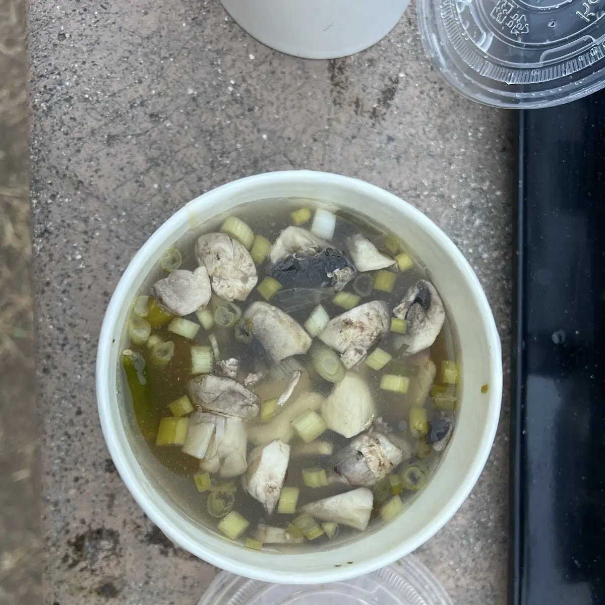Mushroom and Onion Soup