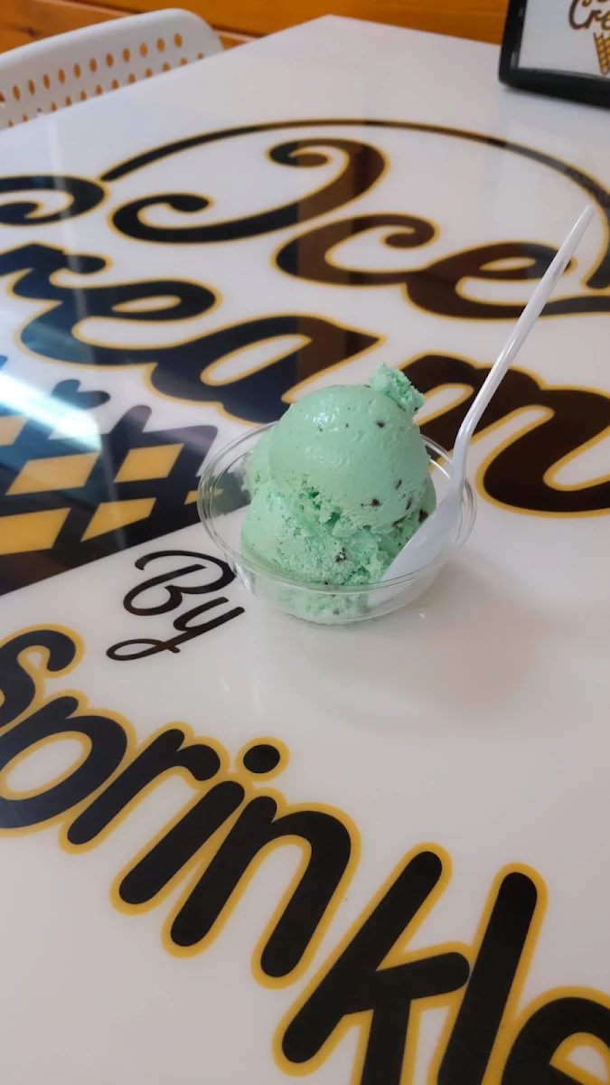 Mint Chocolate Chip Ice Cream