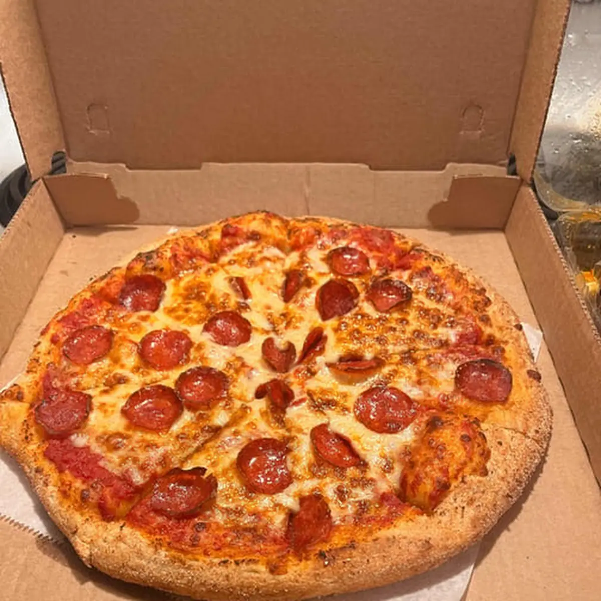 lg Triple Pepperoni Pizza