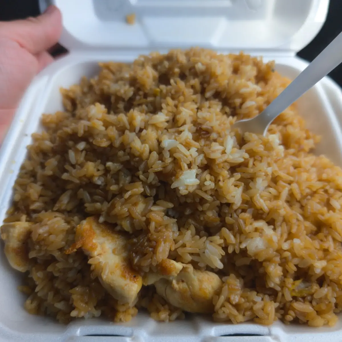 House Special Fried Rice