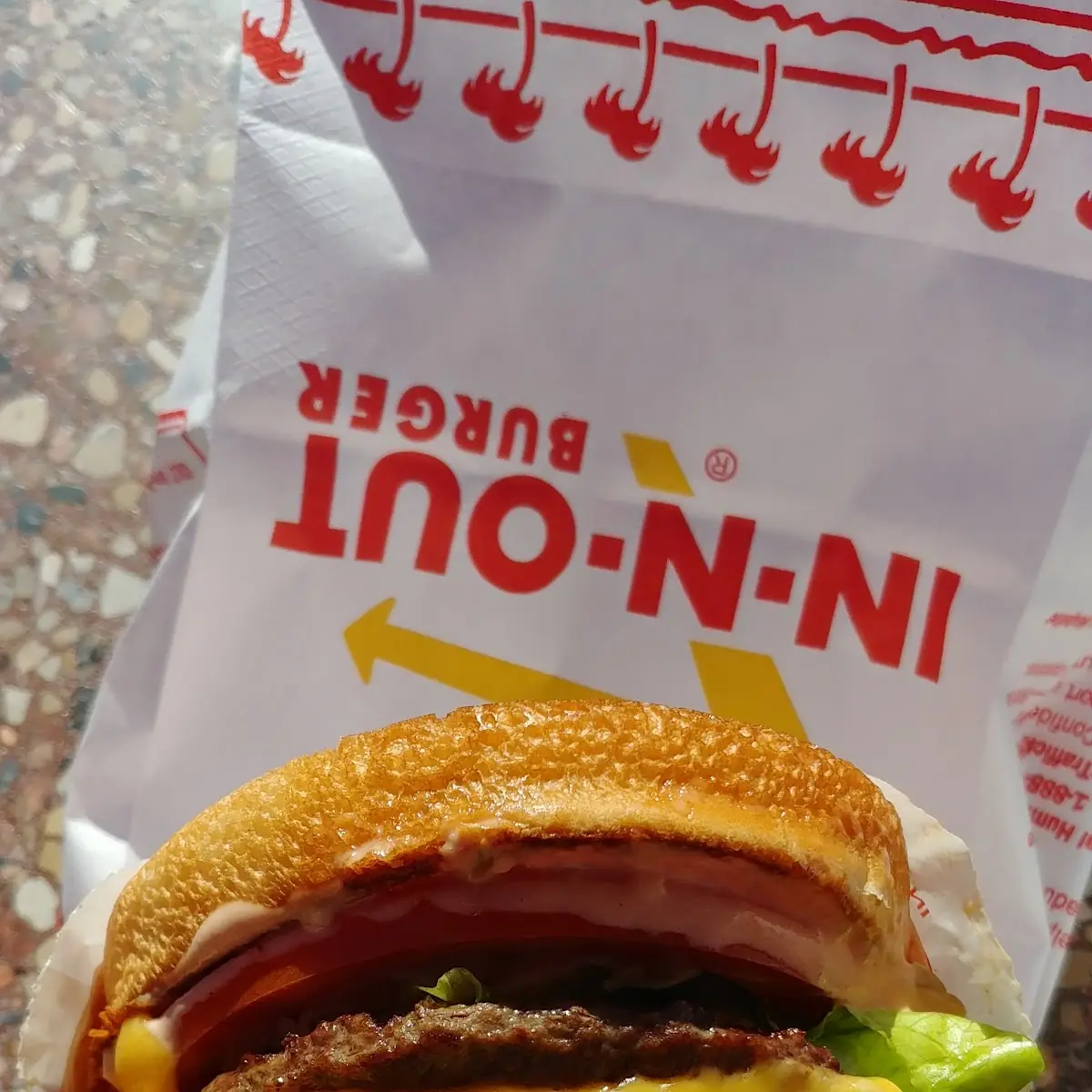 Double-Double Cheese Burger