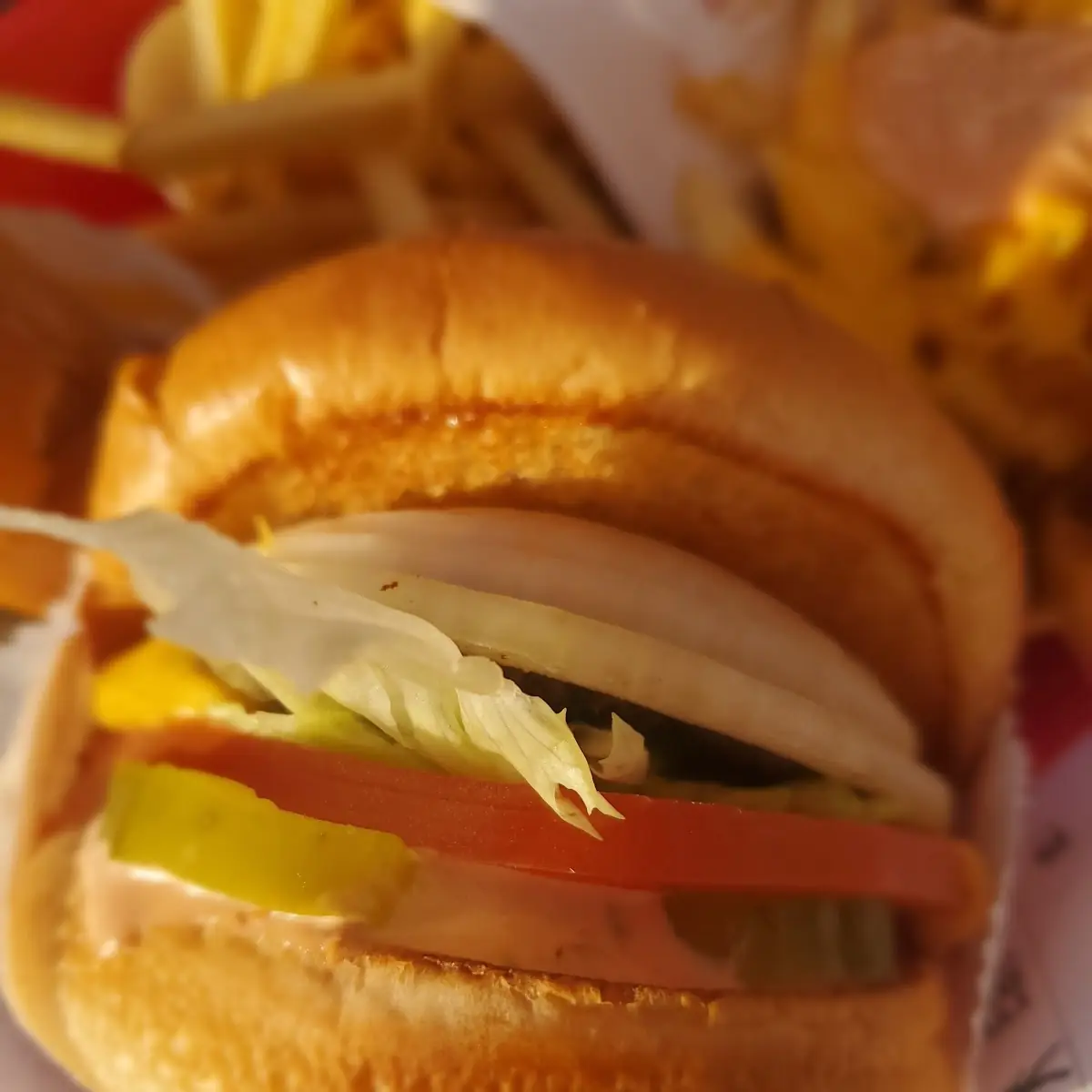 Double Double Cheeseburger and Fries Animal Style