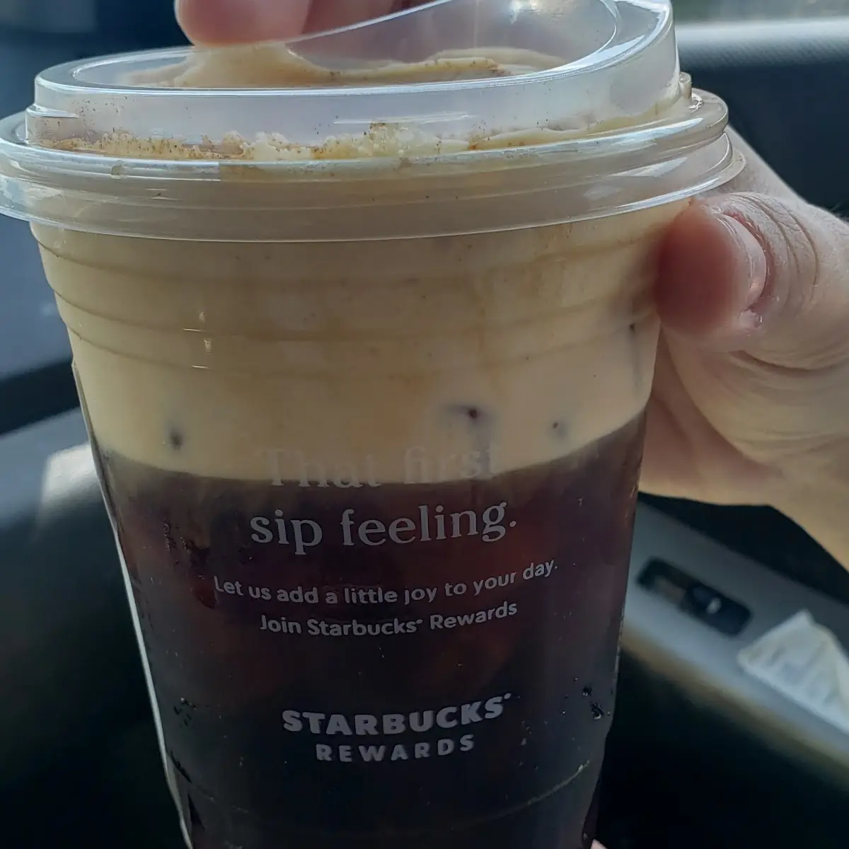 Pumpkin Cream Cold Brew
