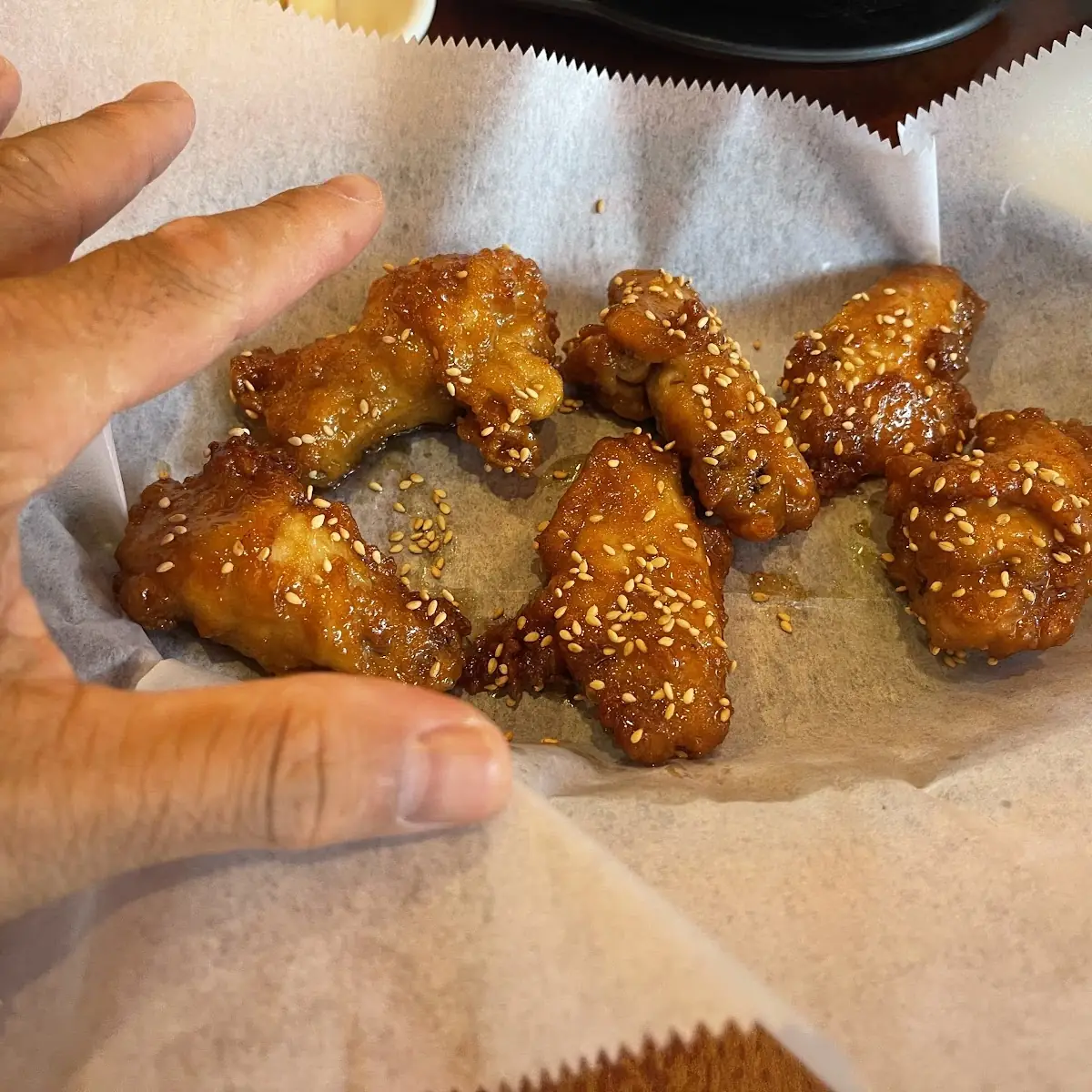 Bird Wings
