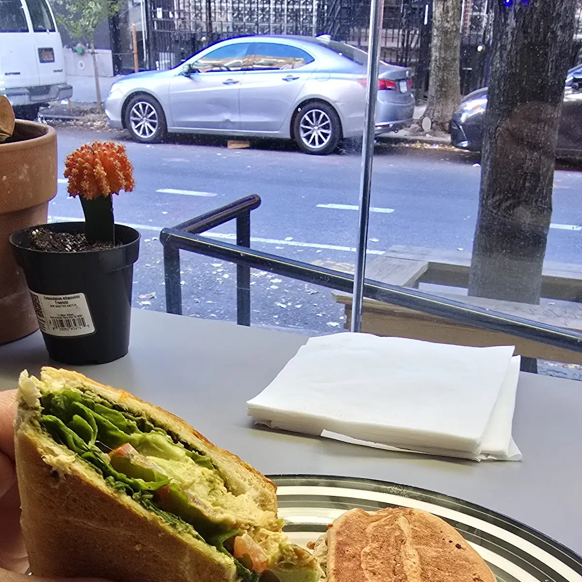Chicken Pesto