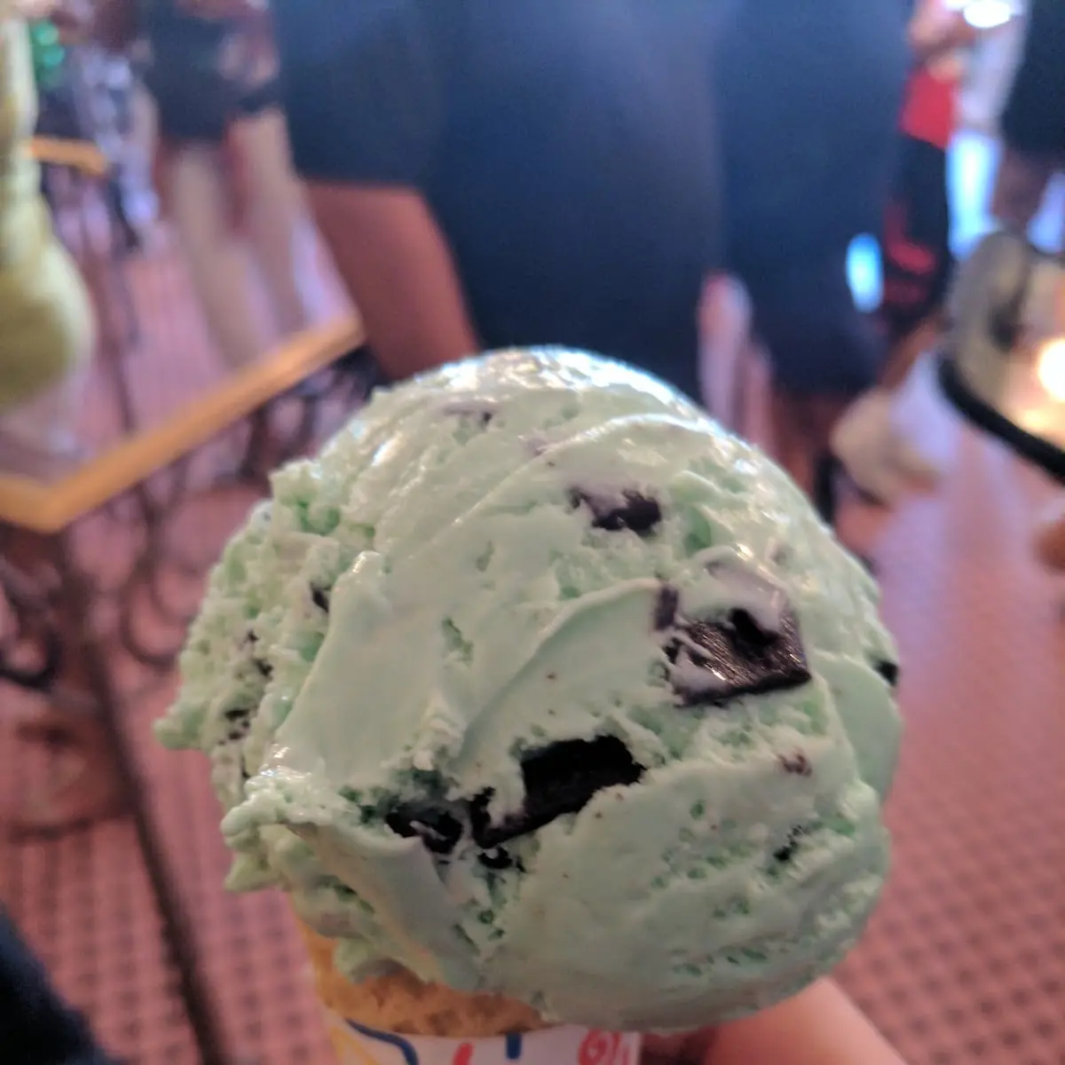 Mint Chocolate Chip
